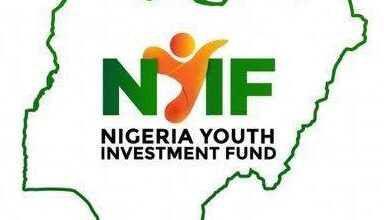 Nigeria Youth Investment Fund